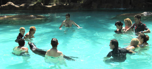 Terapia con leones marinos