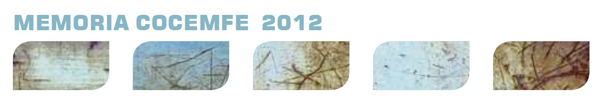 bannermemoria2012