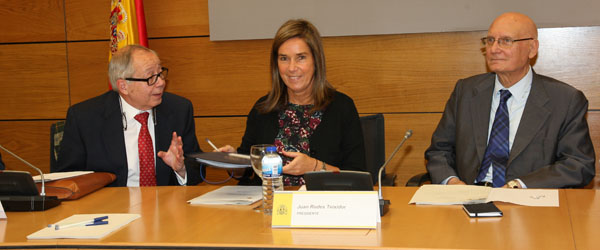 - La ministra de Sanidad, Servicios Sociales e Igualdad, Ana Mato, durante la reunión del Pleno del Consejo Asesor de Sanidad