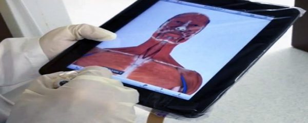 Un profesional médico trabaja con una tablet