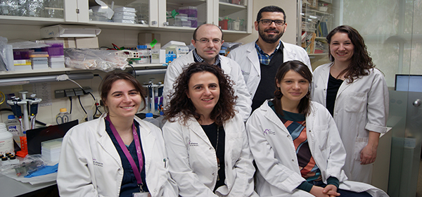 El doctor Miquel Vila junto a su equipo