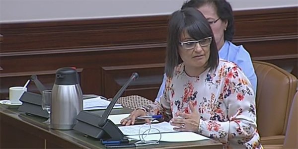 Laura Seara presentó la proposición en la Comisión para las Políticas Integrales de la Discapacidad