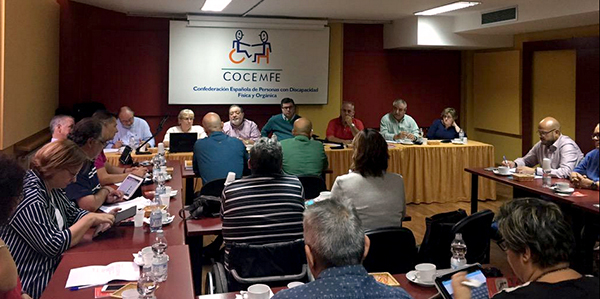 COCEMFE_Consejo_Estatal