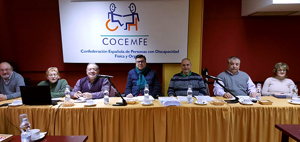 COCEMFE_Consejo_Estatal_1