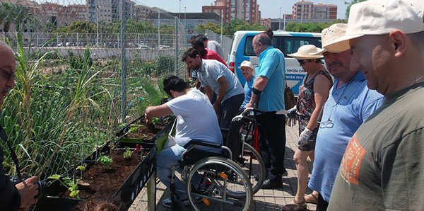 HuertoAccesiblecocemfeCastello