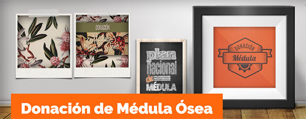 DonacionMedula