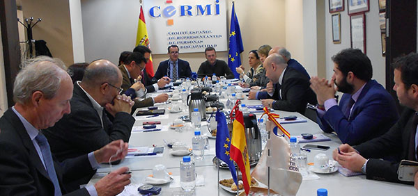 Foto Reunion CERMI y EDF