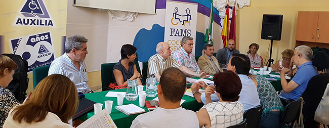 “VI mesa de accesibilidad FAMS-COCEMFE Sevilla”