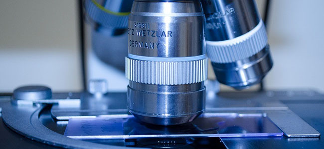 Convocados los Premios Internacionales de Investigación sobre coagulopatías congénitas “Duquesa de Soria”