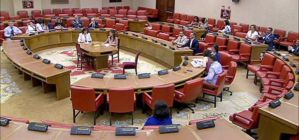 Vista general de la última reunión de la Comisión