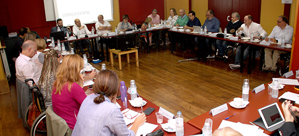 COCEMFE_Consejo_Estatal