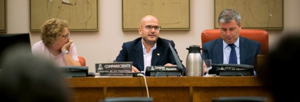 nxo Queiruga durante su comparecencia en la Comisión para las Políticas Integrales de la Discapacidad del Congreso de los Diputados