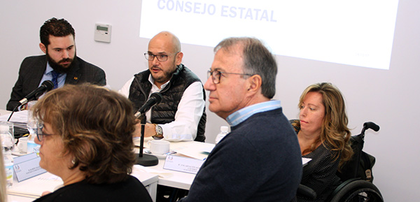 El Consejo de COCEMFE aborda los retos de la entidad