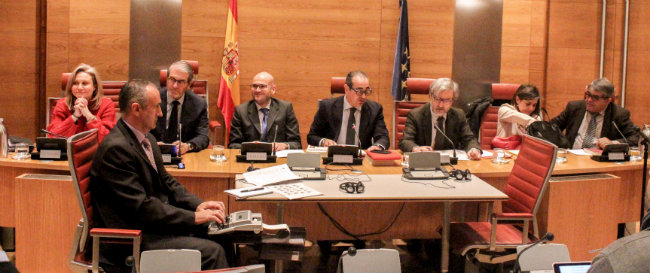 Anxo Queiruga, presidente de COCEMFE, durante su intervención en el Senado