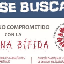 Cartel de Se Busca Gobierno Comprometido Con La Espina Bifida