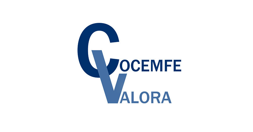 Imagen promocional de COCEMFE Valora