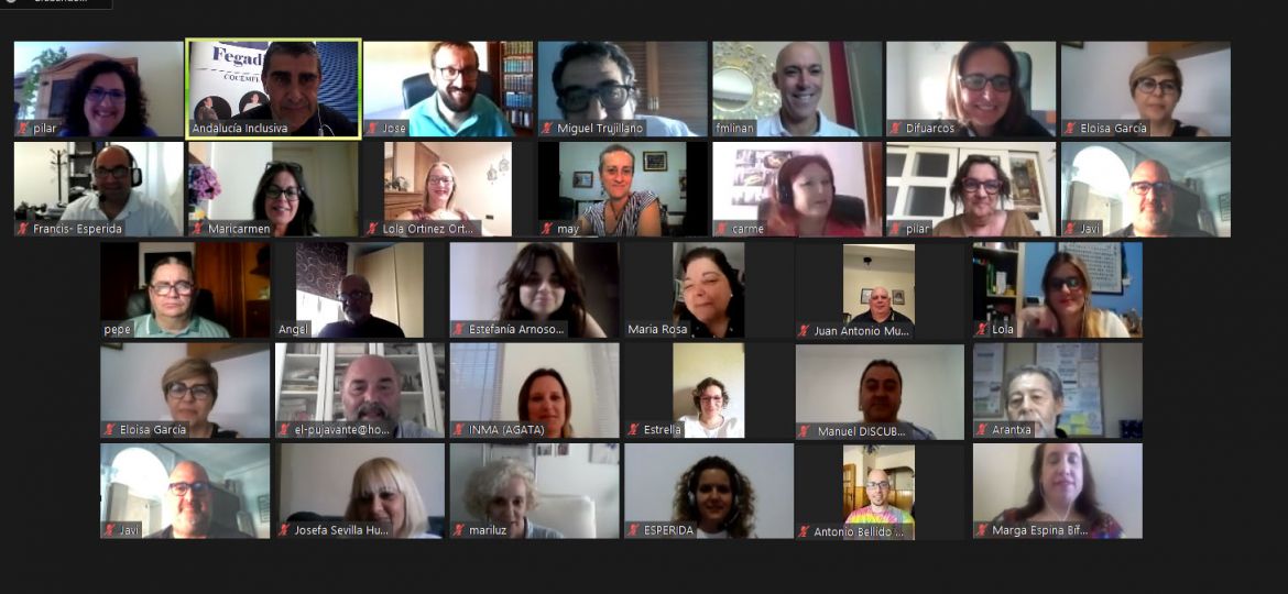 FEGADI COCEMFE celebró su Asamblea on line