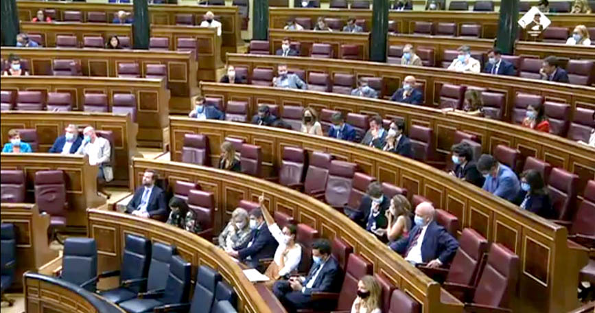 Pleno del Congreso de los Diputados del 22 de julio de 2020