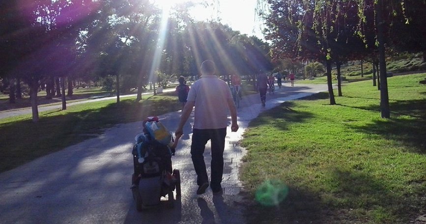 Persona en silla de ruedas paseando por un parque