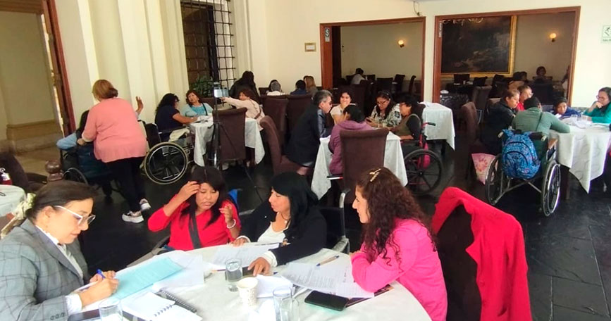 COCEMFE organiza unas jornadas sobre la situación de las mujeres con discapacidad en Perú.
