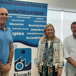 FEGADI traslada demandas en materia de salud y sociosanitarias a la Junta de Andalucía