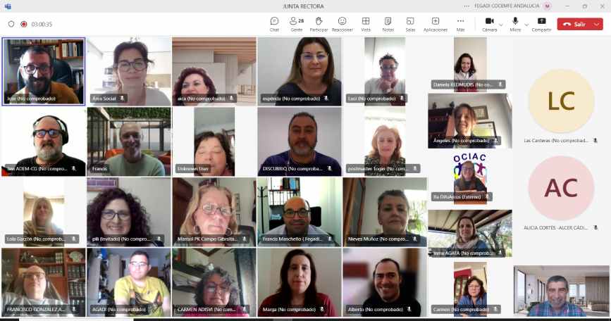 Imagen de la Junta Rectora de FEGADI COCEMFE en videollamada