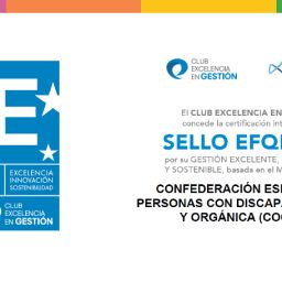 Reconocimiento EFQM 300 a COCEMFE por su gestión excelente Imagen del Sello EFQM 300 otorgado a COCEMFE por el Club Excelencia en Gestión