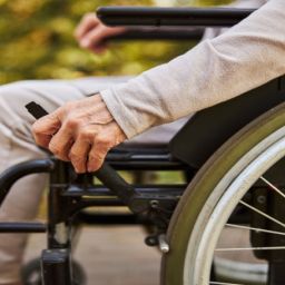 Persona mayor en silla de ruedas en un parque. Mano de una persona mayor en silla de ruedas en un entorno natural.