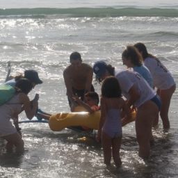 Baño asistido con silla anfibia en ‘Un mar para todos’ de COCEMFE Castelló. Grupo de voluntariado acompaña a una persona con discapacidad en silla anfibia para disfrutar del mar.