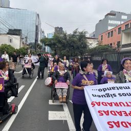 Día de la información sobre el desarrollo cooperación ONU