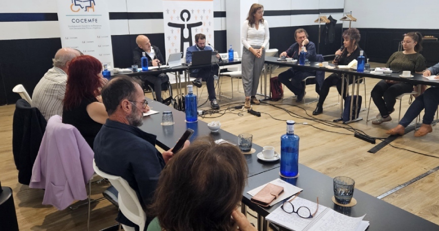 Miembros del OREE de COCEMFE reunidos en Madrid analizan el sistema de subvenciones del 0,7 y su impacto en las personas con discapacidad.