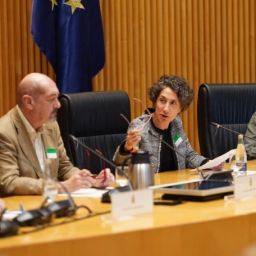 Acto institucional de Federación ASEM por el Día Nacional de las Enfermedades Neuromusculares Representantes políticos, sanitarios y del movimiento asociativo intervienen en una mesa institucional del Congreso en un acto sobre enfermedades neuromusculares.