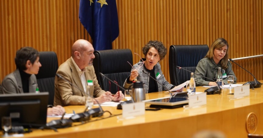 Representantes políticos, sanitarios y del movimiento asociativo intervienen en una mesa institucional del Congreso en un acto sobre enfermedades neuromusculares.