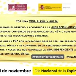 Cartel de FEBHI con el lema “Por una vida plena y justa” y reivindicaciones del colectivo, acompañado del sol amarillo.