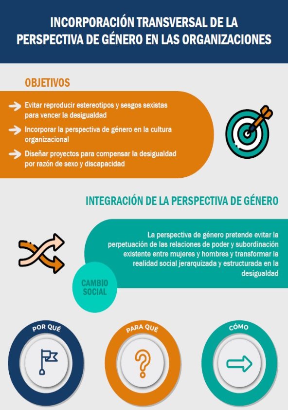 Infografía de COCEMFE sobre la incorporación transversal de la perspectiva de género en las organizaciones, con objetivos y claves para promover la igualdad y el cambio social.