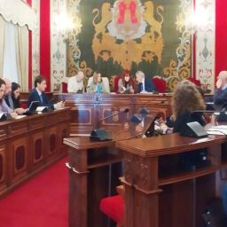 Representantes municipales y entidades sociales participan en la constitución del órgano municipal en materia de discapacidad en la sala de plenos de Alicante.