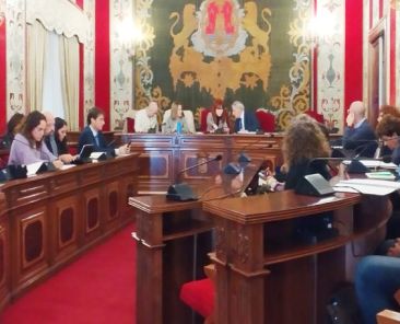 Representantes municipales y entidades sociales participan en la constitución del órgano municipal en materia de discapacidad en la sala de plenos de Alicante.