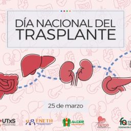 Ilustración de órganos humanos con motivo del Día Nacional del Trasplante celebrado el 25 de marzo