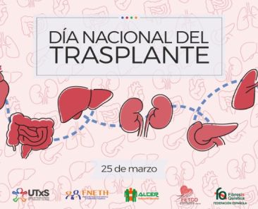 Ilustración de órganos humanos con motivo del Día Nacional del Trasplante celebrado el 25 de marzo