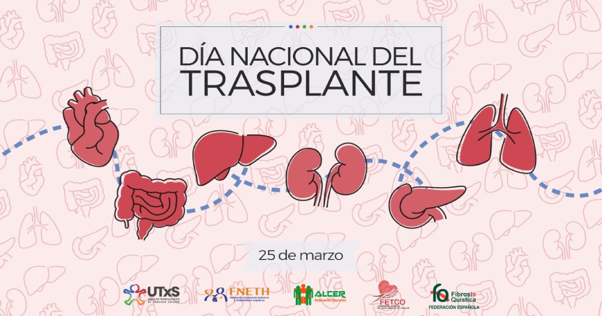 Ilustración de órganos humanos con motivo del Día Nacional del Trasplante celebrado el 25 de marzo
