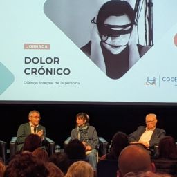 Ponentes y público durante la jornada sobre dolor crónico organizada por COCEMFE Cantabria.