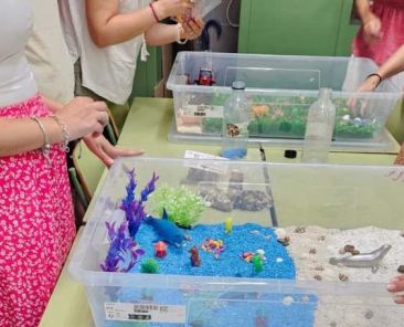 Docentes participan en una actividad práctica con bandejas sensoriales durante una formación de COCEMFE CV sobre inclusión educativa del alumnado con TEA.