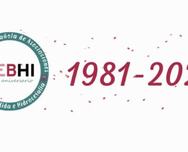 FEBHI celebra su 45 aniversario (1981-2026) Logotipo conmemorativo del 45 aniversario de FEBHI junto a los años 1981-2026, sobre fondo blanco con confeti granate.